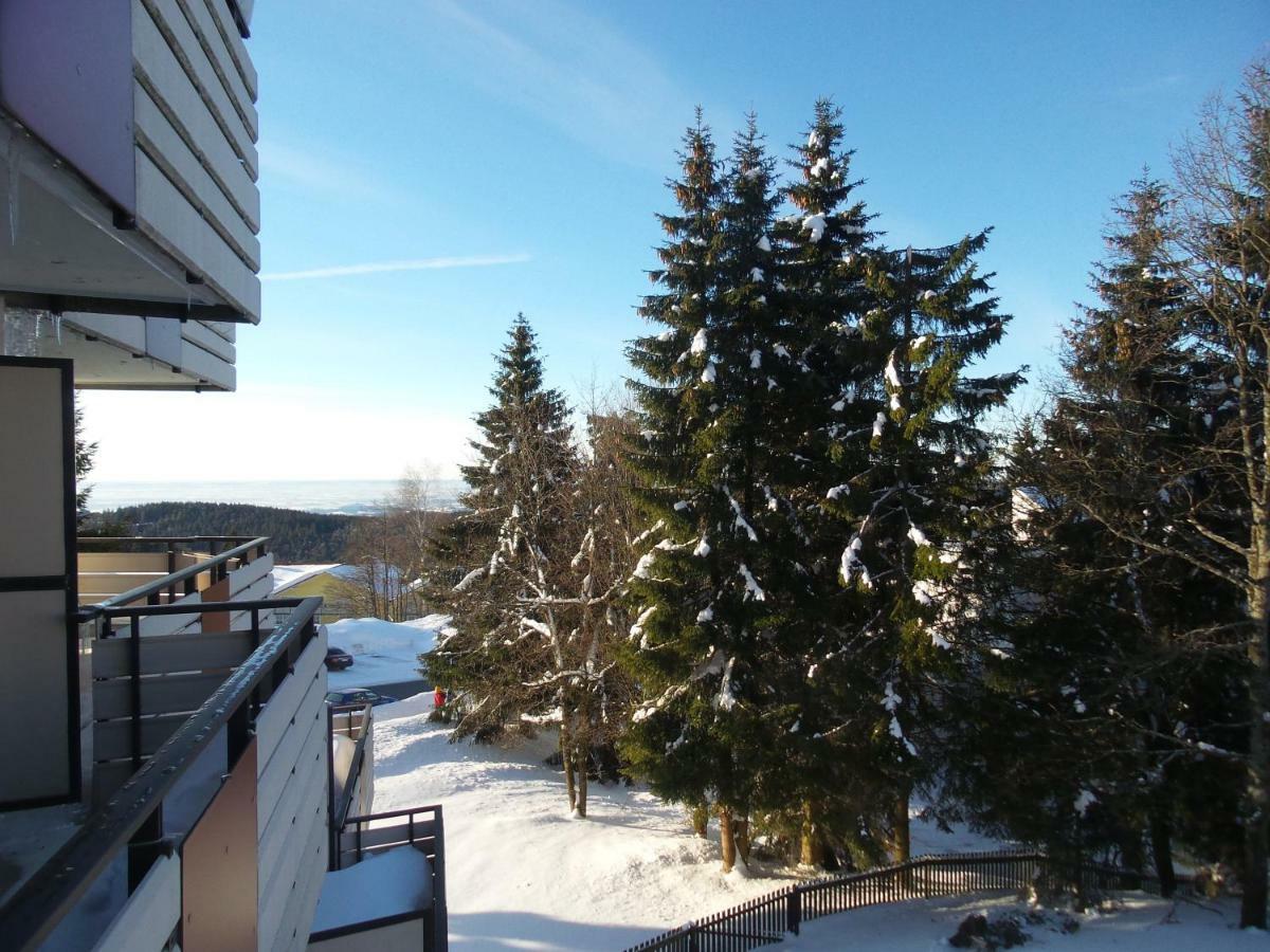 סנקט אנגלמר Ferienwohnung Mit Blick In Den Bayrischen Wald Oberhalb Von Sankt Engelmar מראה חיצוני תמונה